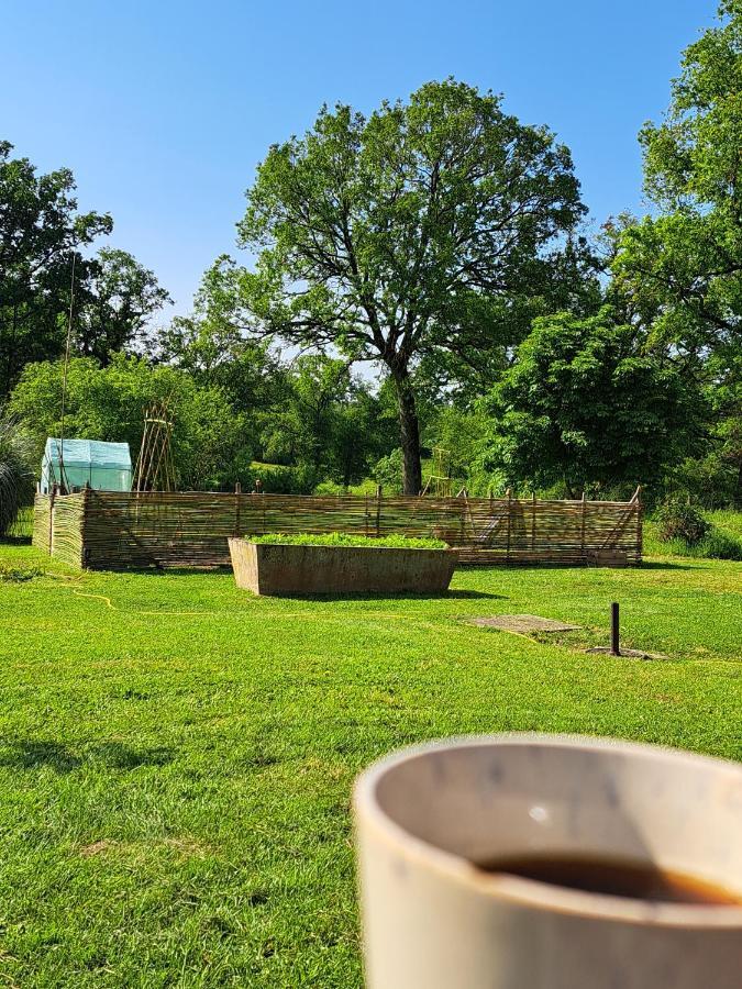 Chez Nous Bed & Breakfast Brigueuil-le-Chantre Екстериор снимка