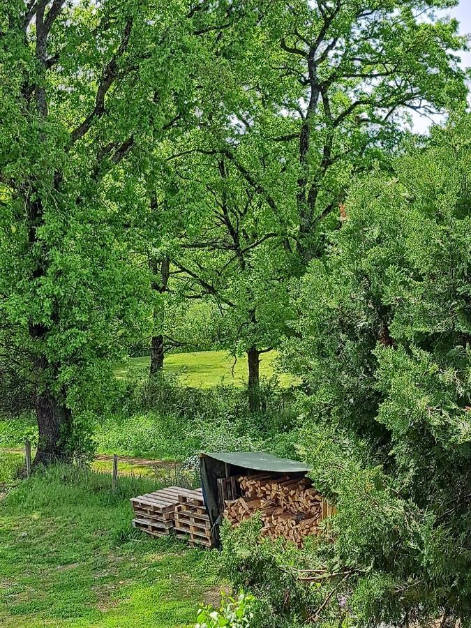 Chez Nous Bed & Breakfast Brigueuil-le-Chantre Екстериор снимка
