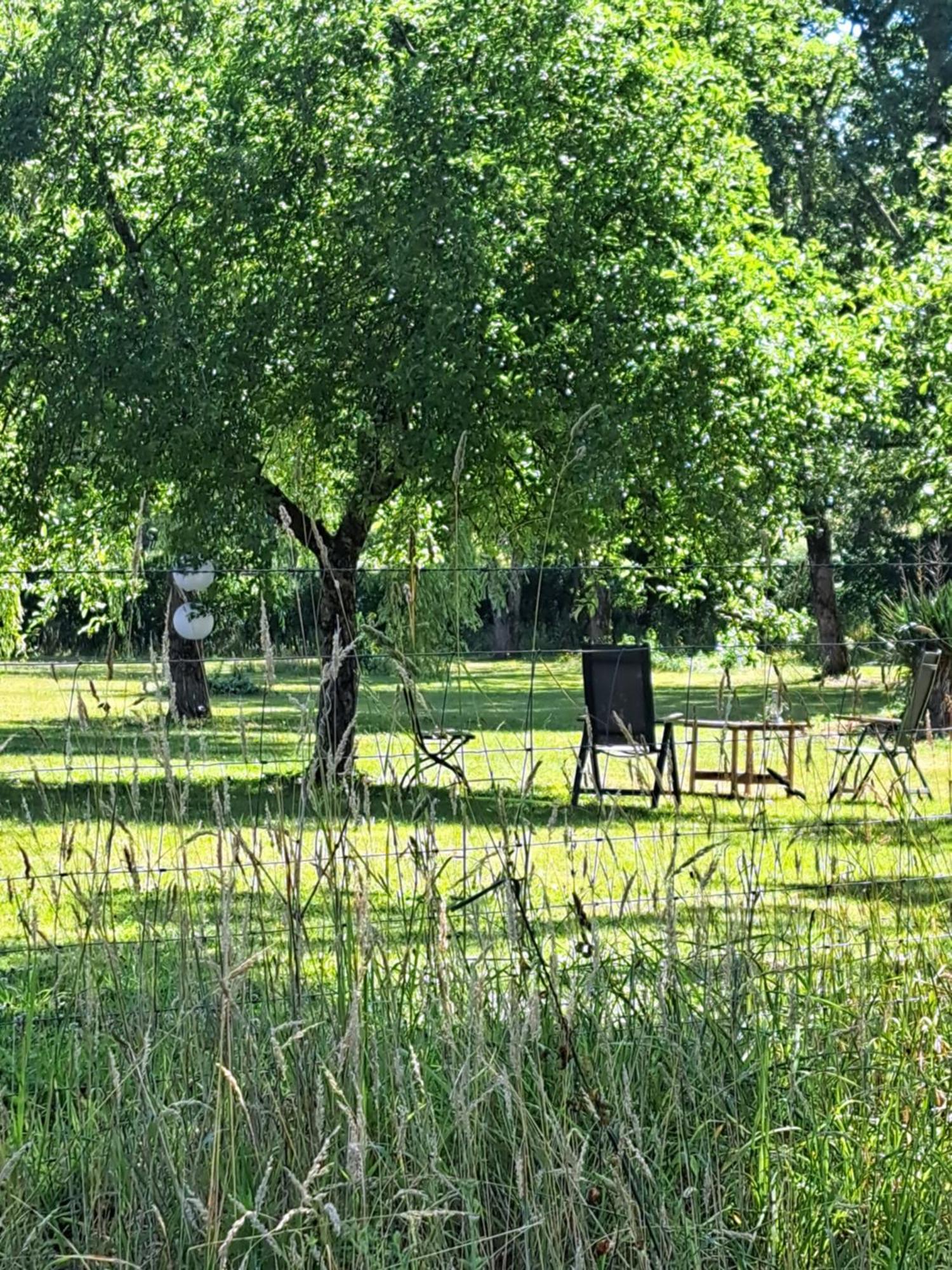 Chez Nous Bed & Breakfast Brigueuil-le-Chantre Екстериор снимка